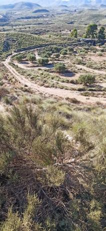 Terreno en Diseminado Barranco Lobos, 1