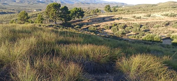 Terreno en Diseminado Barranco Lobos, 1