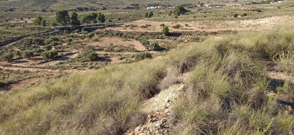 Terreno en Diseminado Barranco Lobos, 1
