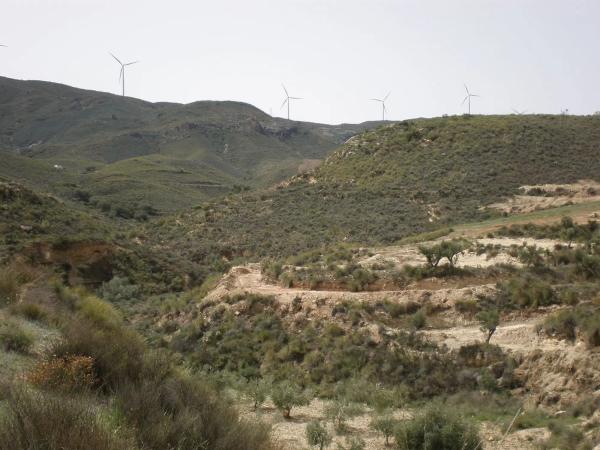 Terreno en lucainena, 10