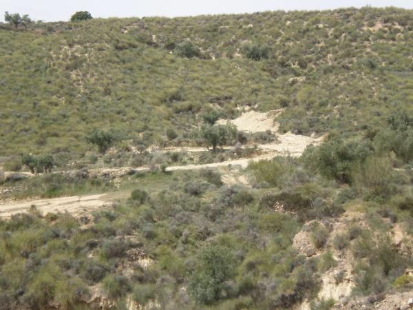 Terreno en lucainena, 10