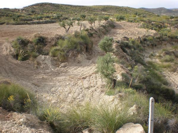 Terreno en lucainena, 10