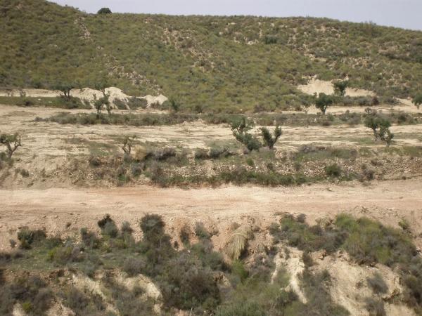 Terreno en lucainena, 10