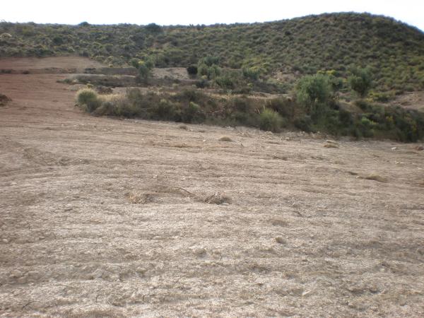 Terreno en lucainena, 10