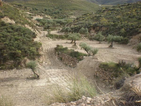 Terreno en lucainena, 10