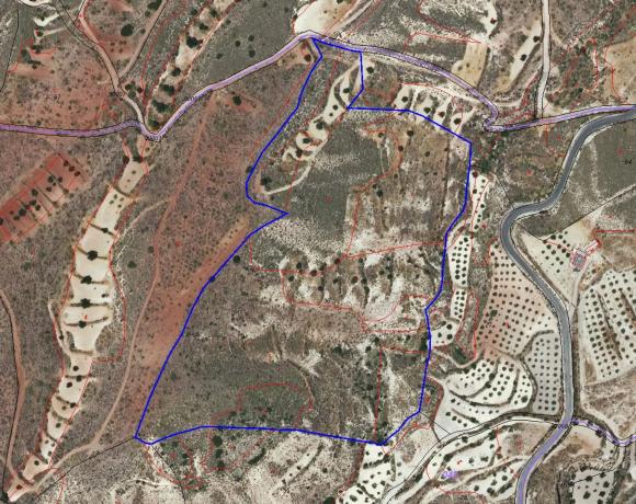 Terreno en lucainena, 10