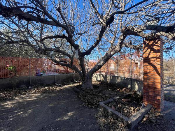 Terreno en diseminado retamares s/n