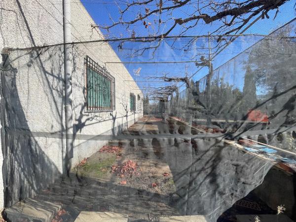 Terreno en diseminado retamares s/n