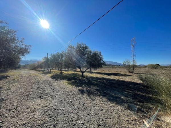 Terreno en diseminado retamares s/n