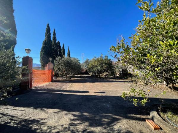 Terreno en diseminado retamares s/n