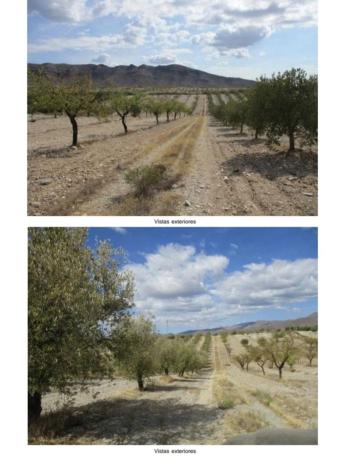 Terreno en calle El rincón del Marqués s/n