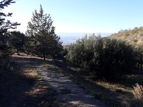 Terreno en Cortijo Aldana - Sierra Alhamilla s/n