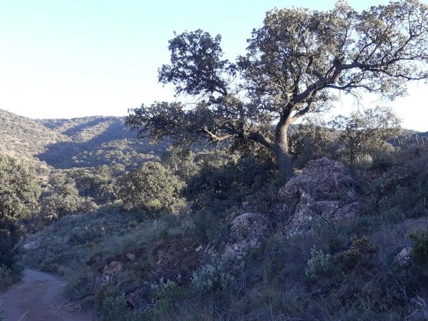 Terreno en El Cañuelo y Piedras Aldanas s/n