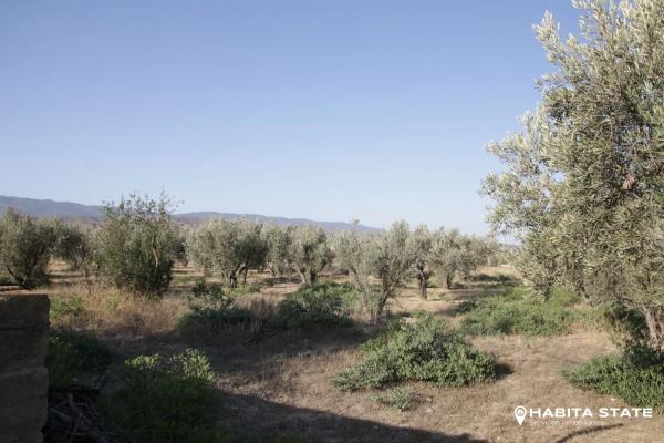 Terreno en carretera De Turrillas, km 22