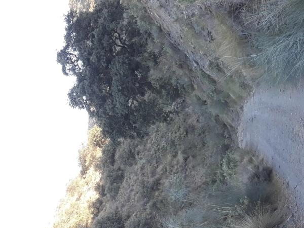 Terreno en piedras aldana - tabernas s/n