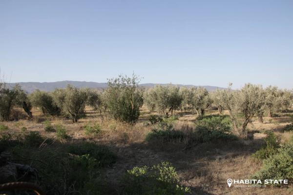 Terreno en carretera De Turrillas, km 22