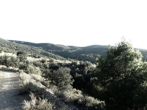 Terreno en piedras aldana - tabernas s/n