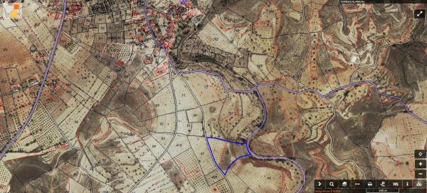 Terreno en carretera la mela, 1