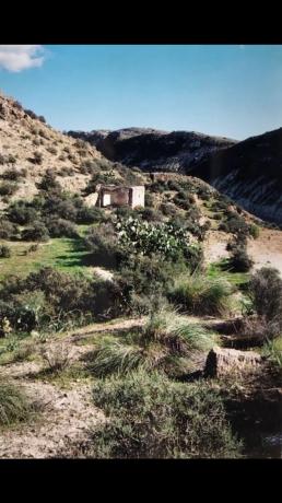 Terreno en Paraje El Toril, 47