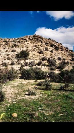Terreno en Paraje El Toril, 47