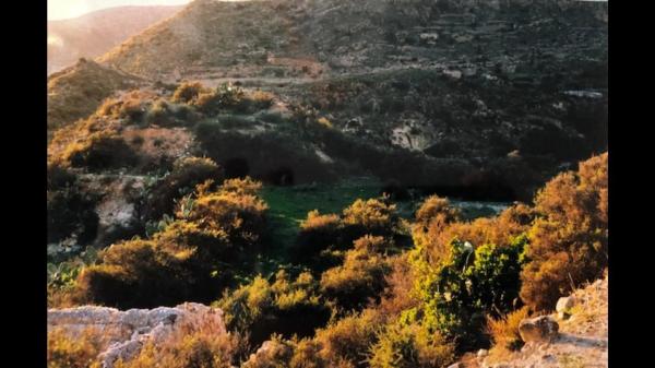 Terreno en Paraje El Toril, 47