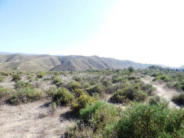 Terreno en calle Torreta