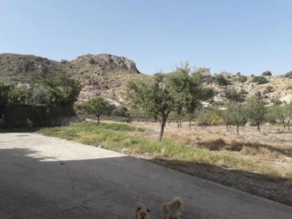 Terreno en carretera de sorbas s/n