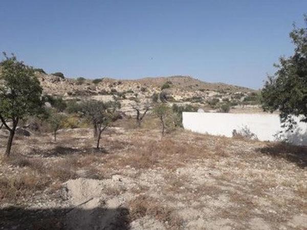 Terreno en carretera de sorbas s/n
