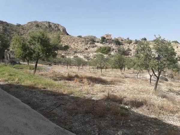 Terreno en carretera de sorbas s/n