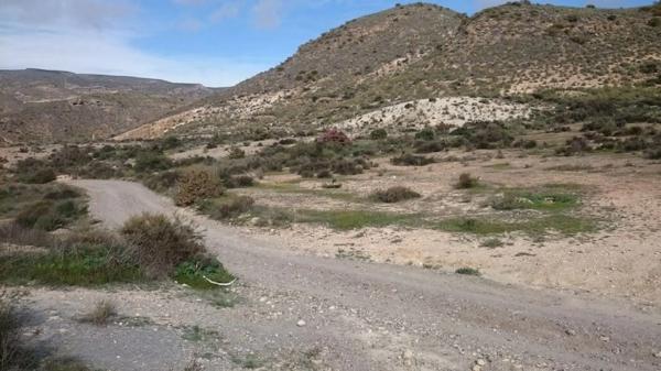 Terreno en camino Natural Vía Verde de Lucainena de las Torres a Agua Amarga
