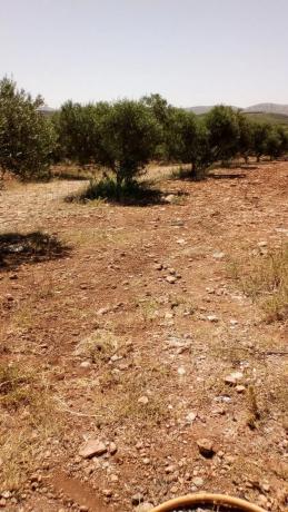 Terreno en carretera Nacional 340, km 488