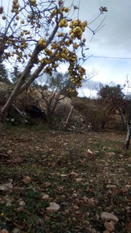 Terreno en carretera Nacional 340, km 488