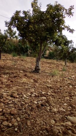 Terreno en carretera Nacional 340, km 488