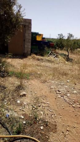 Terreno en carretera Nacional 340, km 488