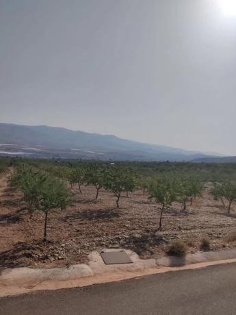 Terreno en calle El Campillo s/n