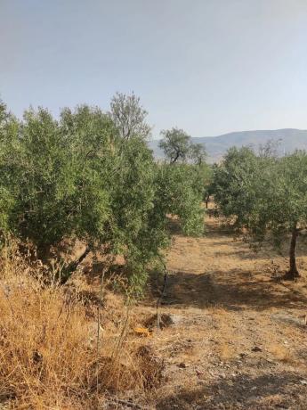 Terreno en calle El Campillo s/n