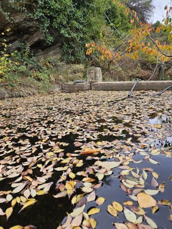 Terreno en Fuente agria, 8