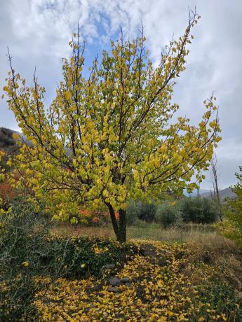 Terreno en Fuente agria, 8