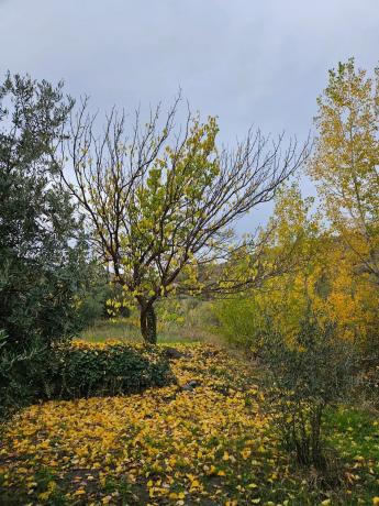 Terreno en Fuente agria, 8