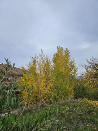 Terreno en Fuente agria, 8