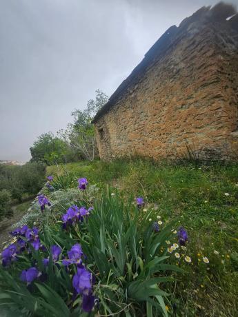 Terreno en Fuente agria, 8