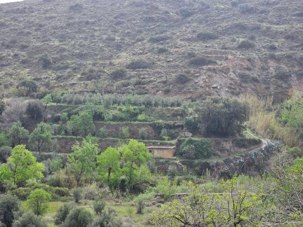 Terreno en Fuente agria, 8