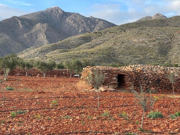 Terreno en Uleila del Campo