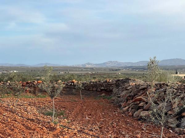 Terreno en Uleila del Campo