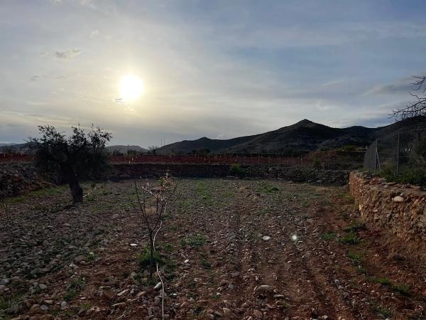 Terreno en Uleila del Campo