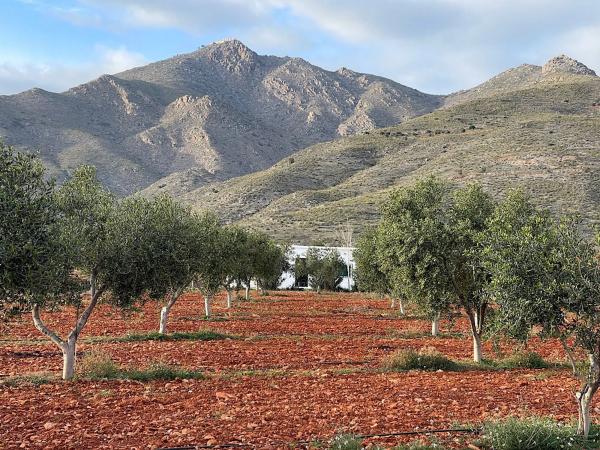Terreno en Uleila del Campo