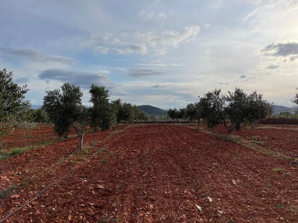 Terreno en Uleila del Campo