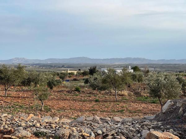 Terreno en Uleila del Campo