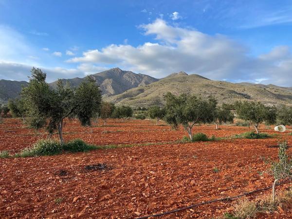 Terreno en Uleila del Campo