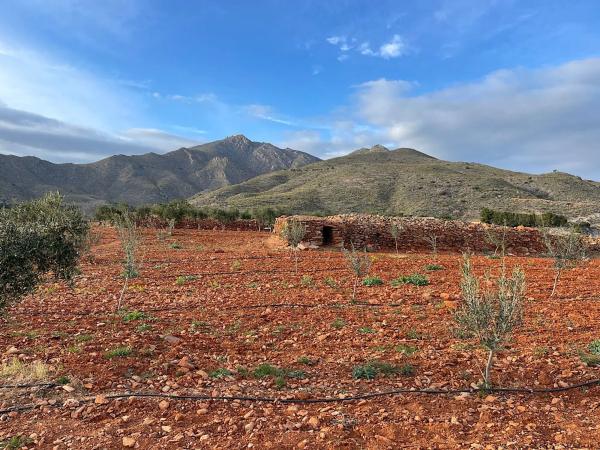 Terreno en Uleila del Campo